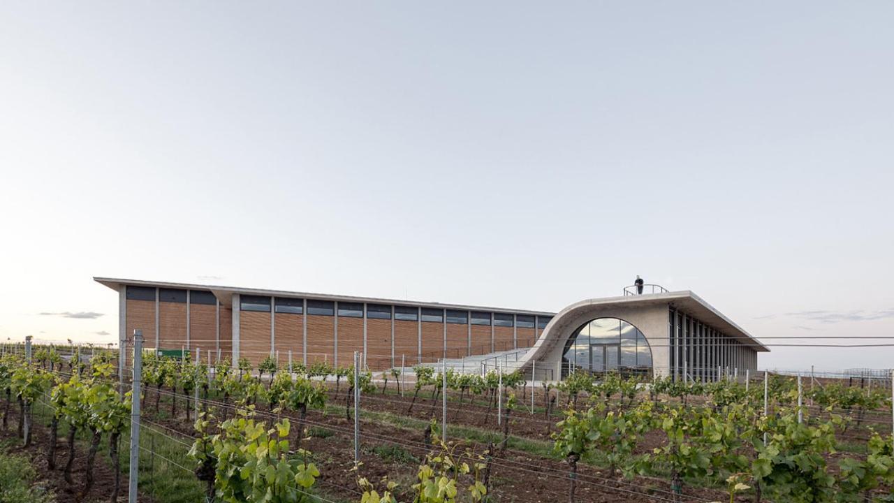 Wine House Znojmoヴィラ エクステリア 写真